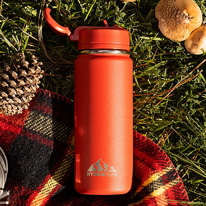 20 oz Hydrapeak® Stainless Steel Insulated Mini Water Bottle w/ Straw Lid