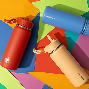 20 oz Hydrapeak® Stainless Steel Insulated Mini Water Bottle w/ Straw Lid