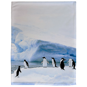 60" x 80" Brushed Polar Fleece Sublimation Blanket 300 GSM