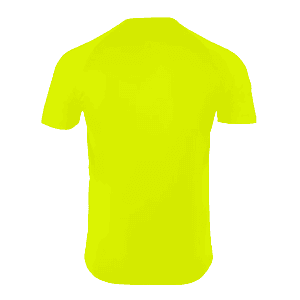 Men’s Performance Raglan Crew Neck T-Shirt