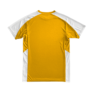 Performance Mesh Color Block Tee for Men