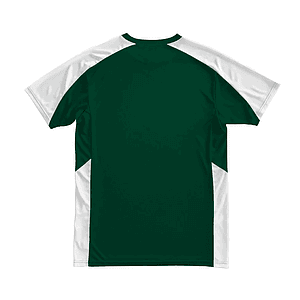 Performance Mesh Color Block Tee for Men