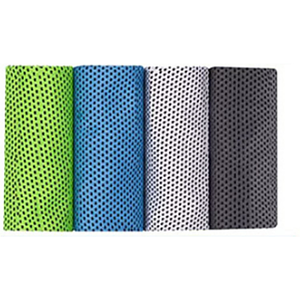 Coolmax Sports Towel