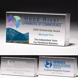 Screen Printed The Cube Award (2 1/2"x 5"x 1")