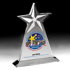 Vertical Star Award - Screen Printed