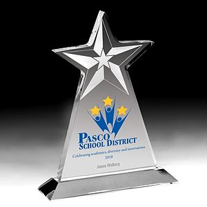 Vertical Star Award - Screen Printed