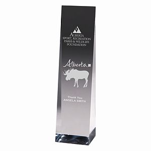 Screen Printed Angled Obelisk Award - 7 3/4"