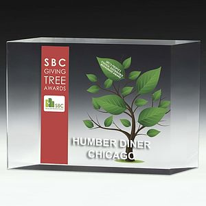 1 1/4" Thick Freestanding Acrylic Awards