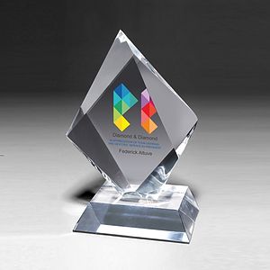 Medium Summit Award - Screen Print