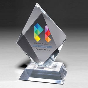 Medium Summit Award - Screen Print