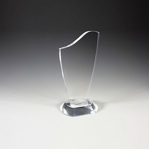 Progressive Award - 4-3/4” x 9-1/2”
