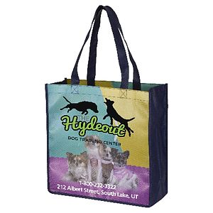 13”W x 13”H x 5”Gusset - “SHORT HILLS” Full Color Import Air Ship Glossy Lamination Grocery Shopping