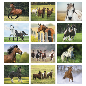 Triumph® Calendars Horses Calendar