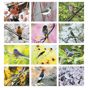 Triumph® Calendars Birds Calendar