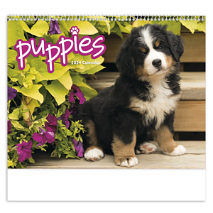 Triumph® Calendars Puppies Calendar