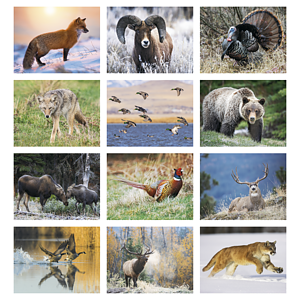 Triumph® Calendars North American Wildlife Calendar