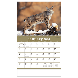 Triumph® Calendars North American Wildlife Calendar
