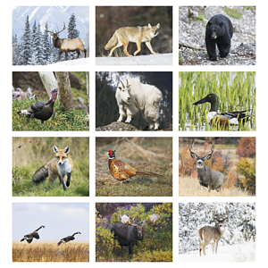 Triumph® Calendars Great Lakes Sportsman Calendar