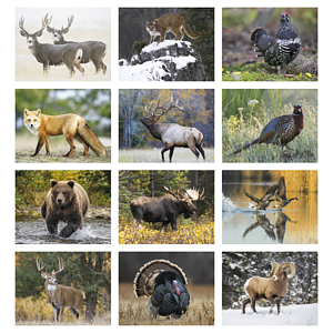 Triumph® Calendars Sportsman Calendar