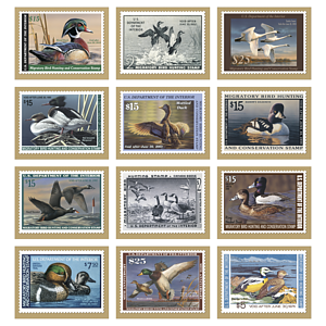 Triumph® Calendars Duck Stamps Calendar