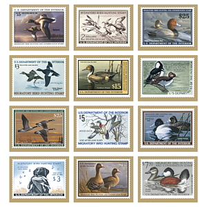 Triumph® Calendars Duck Stamps Calendar