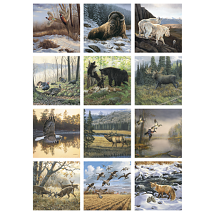 Triumph® Calendars Wildlife Art Calendar