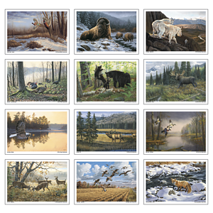 Triumph® Calendars Wildlife Art Calendar