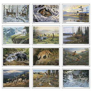 Triumph® Calendars Wildlife Art Calendar