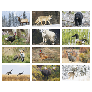 Triumph® Calendars North American Wildlife Calendar