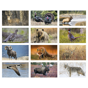Triumph® Calendars North American Wildlife Calendar