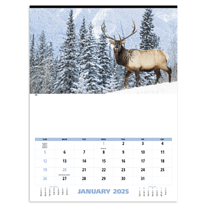 Triumph® Calendars North American Wildlife Calendar