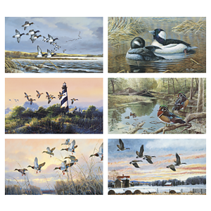 Triumph® Calendars North American Waterfowl Calendar