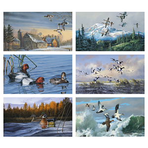 Triumph® Calendars North American Waterfowl Calendar
