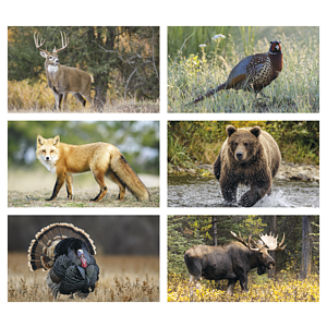 Triumph® Calendars Wildlife Calendar