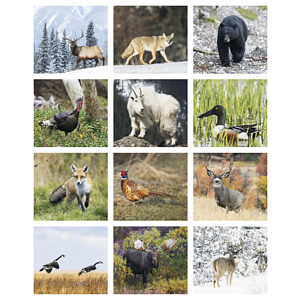 Triumph® Calendars Sportsman Calendar