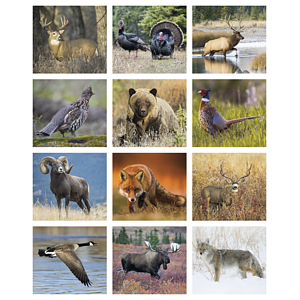 Triumph® Calendars Sportsman Calendar