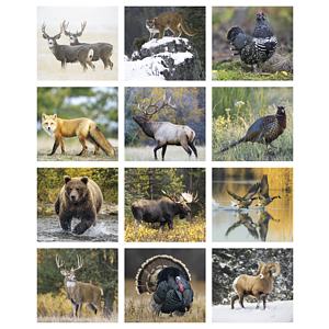 Triumph® Calendars Sportsman Calendar