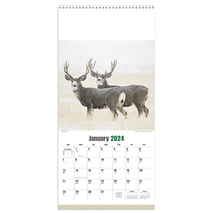 Triumph® Calendars Sportsman Calendar