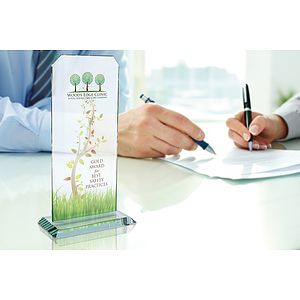 JAFFA® Starfire Echo Award - Large