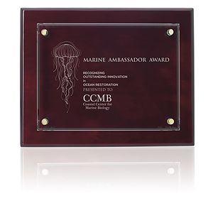 JAFFA® Floating Glass Plaque - 8" x 10"