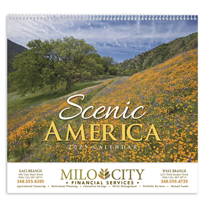 HotLine® Products Scenic America® Appointment Calendar - Spiral