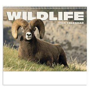 HotLine® Products Wildlife Appointment Calendar - Spiral
