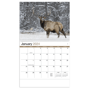 HotLine® Products Wildlife Appointment Calendar - Spiral