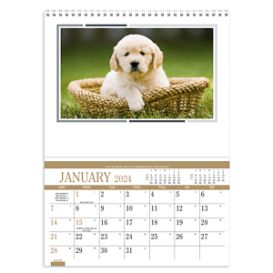 Triumph® Calendars Recipe Pocket Calendar
