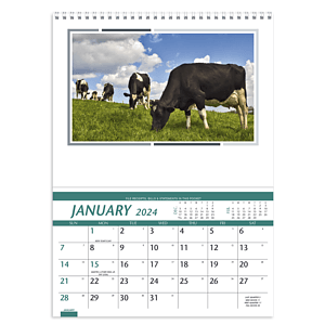 Triumph® Calendars Farm Pocket Calendar