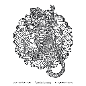 Good Value™ Unwind with Pets Adult Coloring Book