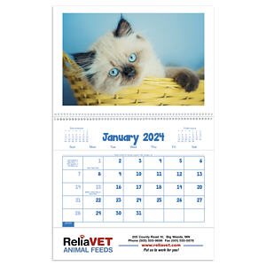 Triumph® Calendars Puppies & Kittens Pocket Calendar