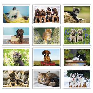 Triumph® Calendars Puppies & Kittens Pocket Calendar