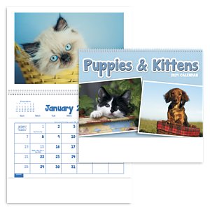 Triumph® Calendars Puppies & Kittens Pocket Calendar