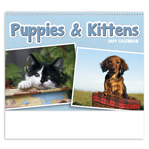 Triumph® Calendars Puppies & Kittens Pocket Calendar